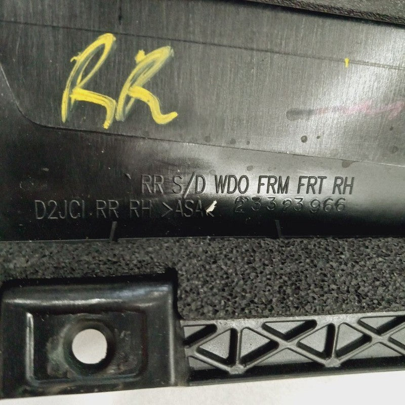 Chevy Volt Passenger Right Rear Door Applique {23323966} 2019 2018 201