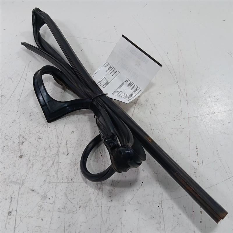 Kia Forte Door Glass Window Seal Rubber Right Passenger Rear Back  2014 2015 201