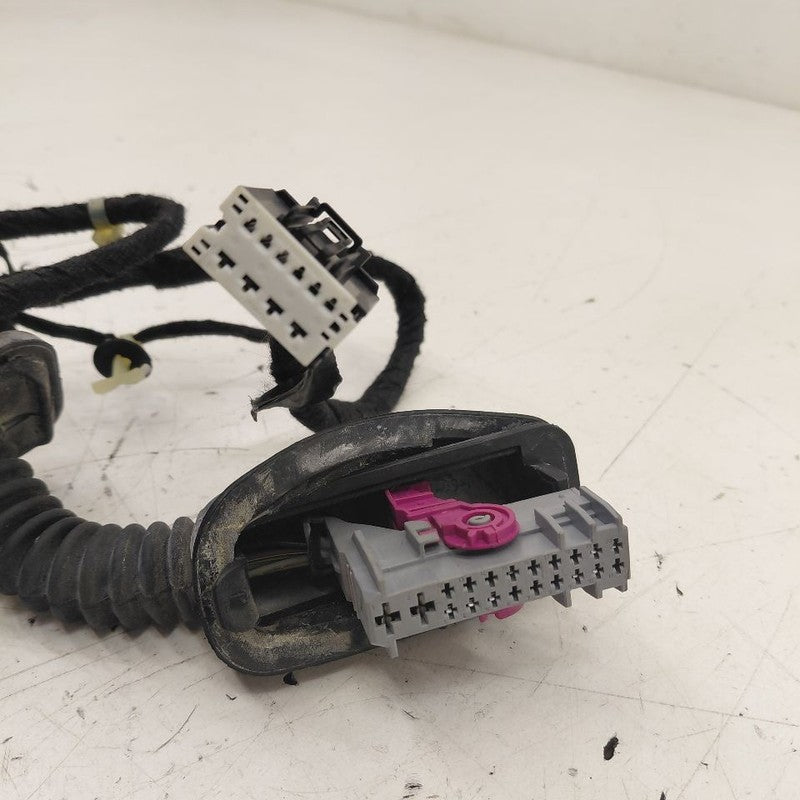Chevy Volt Door Harness Wire Wiring Left Driver Rear  2016 2017 2018 2