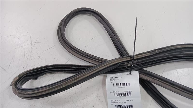 Buick Encore Trunk Lid Hatch Door Rear Back Rubber Seal  2013 2014 201
