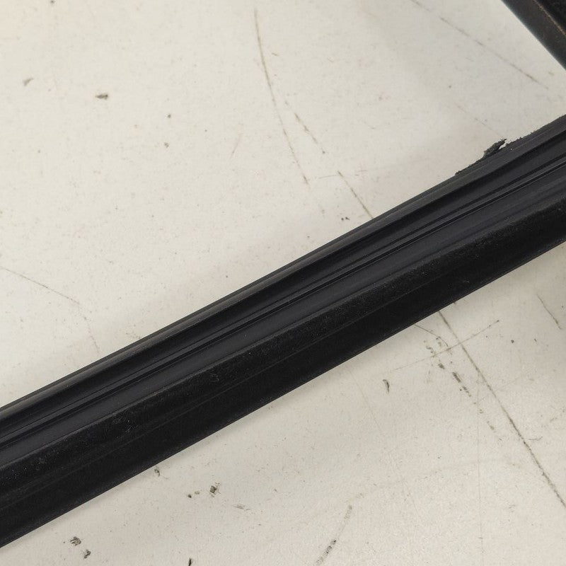 Volvo S60 Door Glass Window Seal Rubber Left Driver Rear Back  2018 20