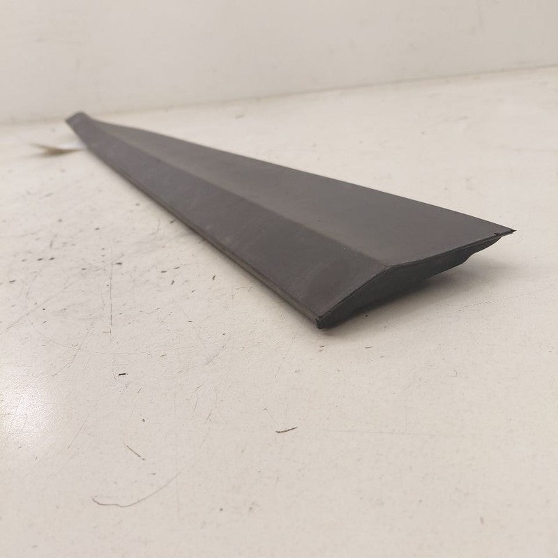 Hyundai Kona Door Molding Trim Strip Left Driver Front  2021 2020 2019