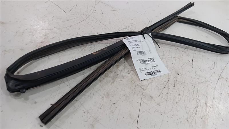 Toyota Scion IQ Door Glass Window Seal Rubber Left Driver Front  2011 2012 2013 