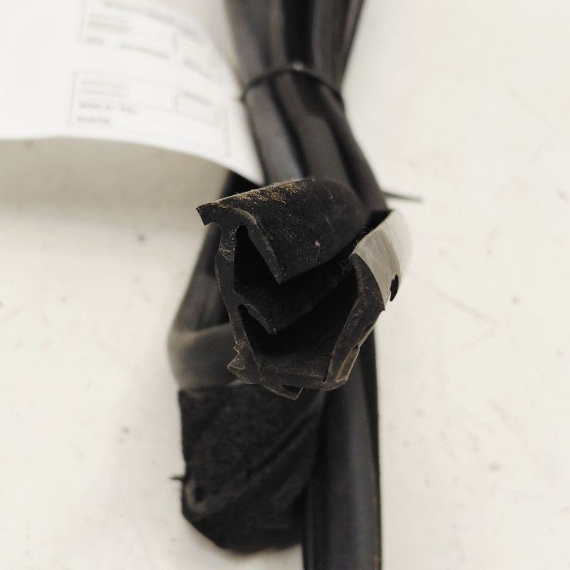 Ford Ecosport Door Glass Window Seal Rubber Left Driver Rear Back 2020