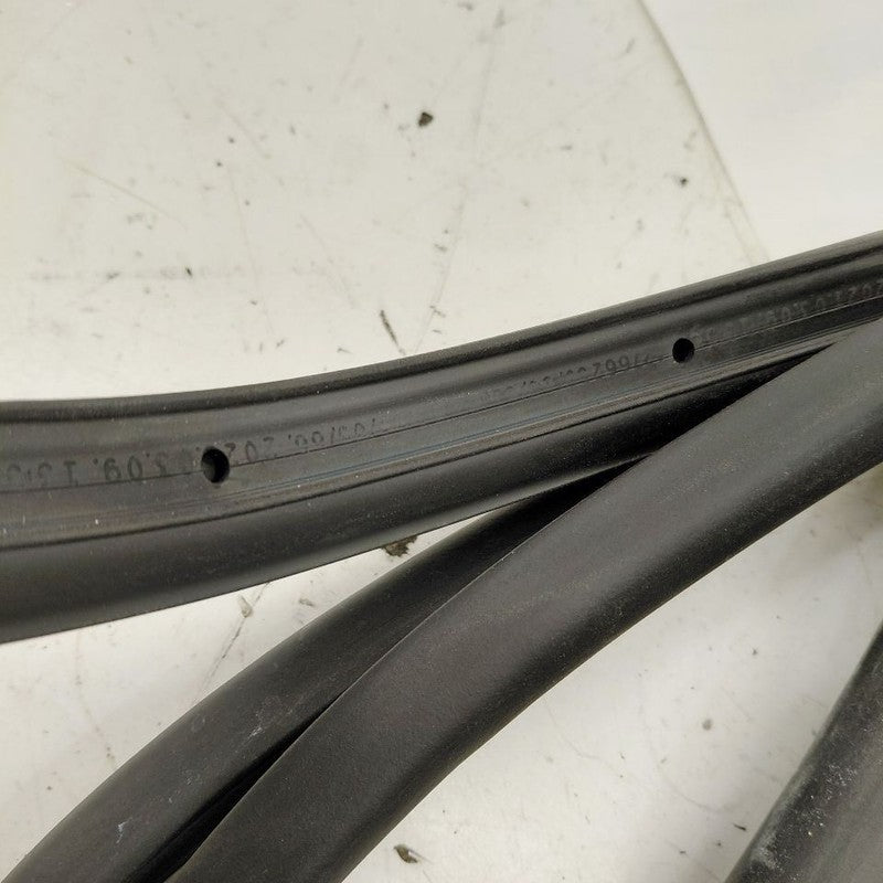 Buick Encore GX On Door Seal Rubber Left Driver Rear Back  2020 2021 2