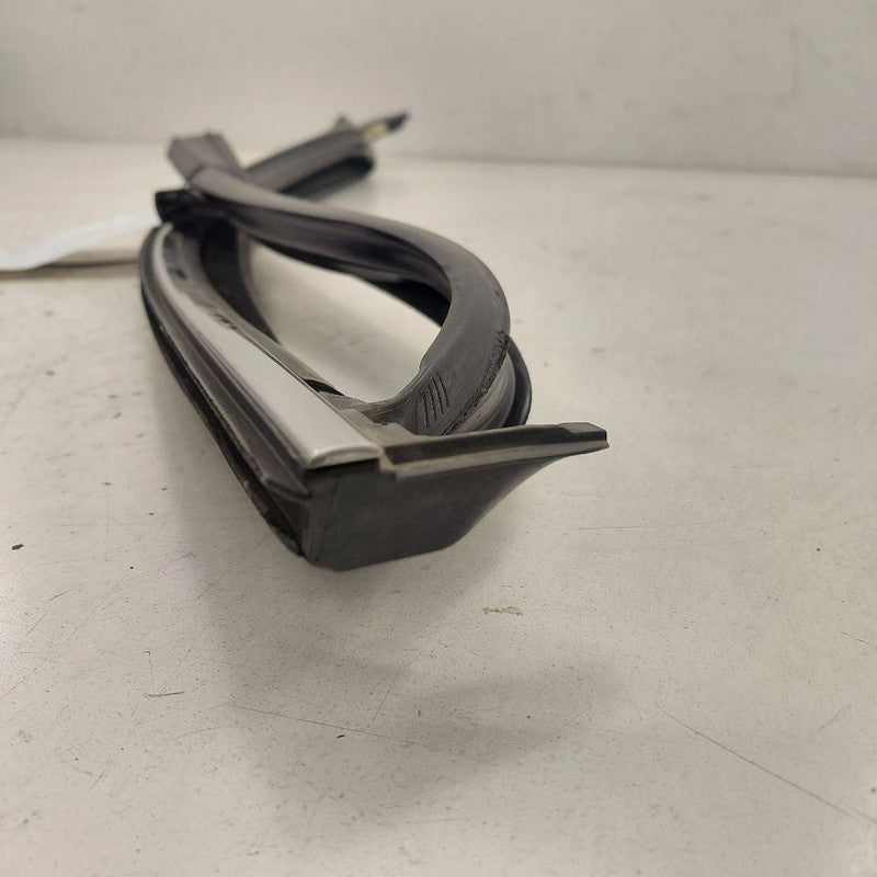 Jeep Cherokee Door Glass Window Seal Rubber Right Passenger Front 2019