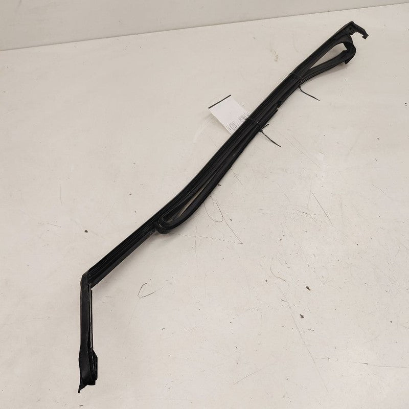 Chevy Volt Door Glass Window Seal Rubber Right Passenger Front  2019 2