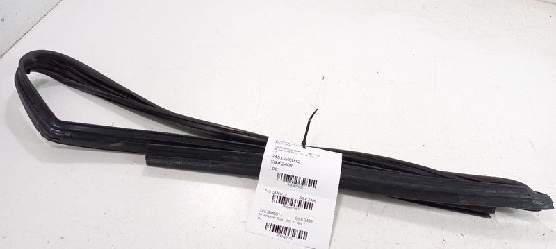 Cadillac CTS Door Glass Window Seal Rubber Right Front Passenger 2011 2012 2013