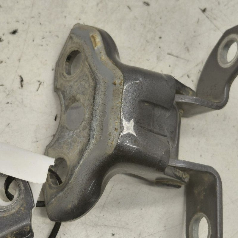 Lexus IS350 Door Hinge Set Right Rear Passenger  2020 2019 2018
