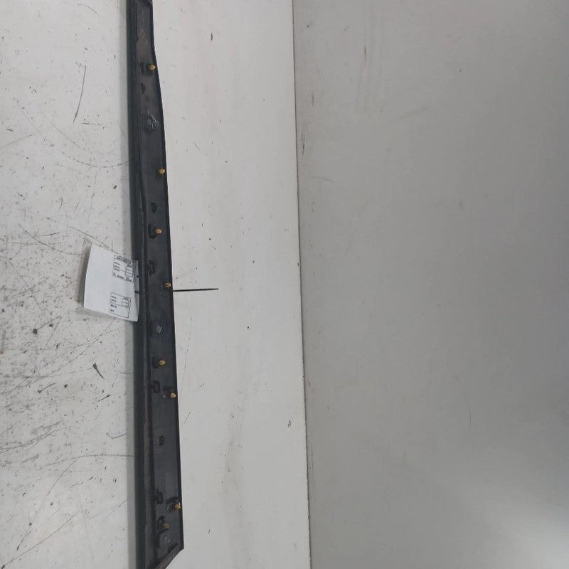 Nissan Kicks Door Molding Trim Strip Right Passenger Side Front  2021 