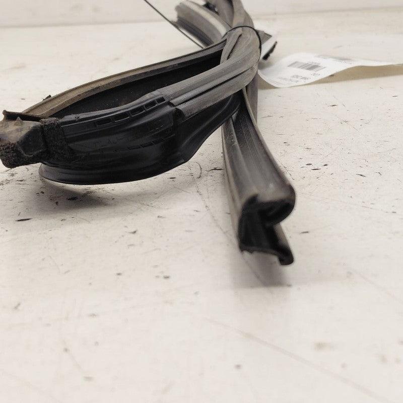 Honda CR-V Door Glass Window Seal Rubber Left Driver Rear Back  2019 2