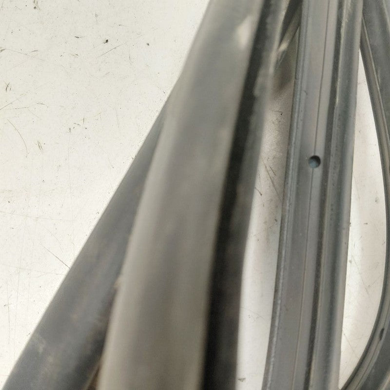 Chevy Volt On Door Seal Rubber Right Passenger Front  2019 2018 2017 2