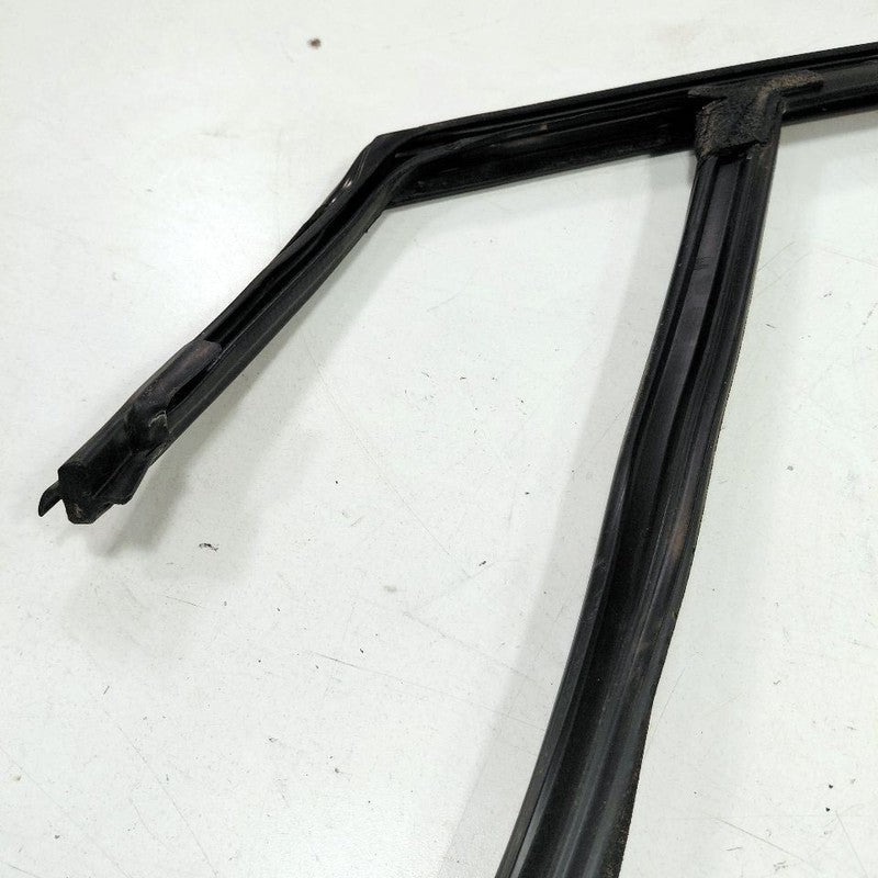 Ford Edge Door Glass Window Seal Rubber Right Passenger Front  2019 20