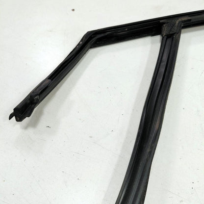 Ford Edge Door Glass Window Seal Rubber Right Passenger Front  2019 20