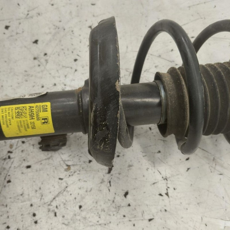 Passenger Right Front Strut AWD Fits 20-25 Buick Encore GX