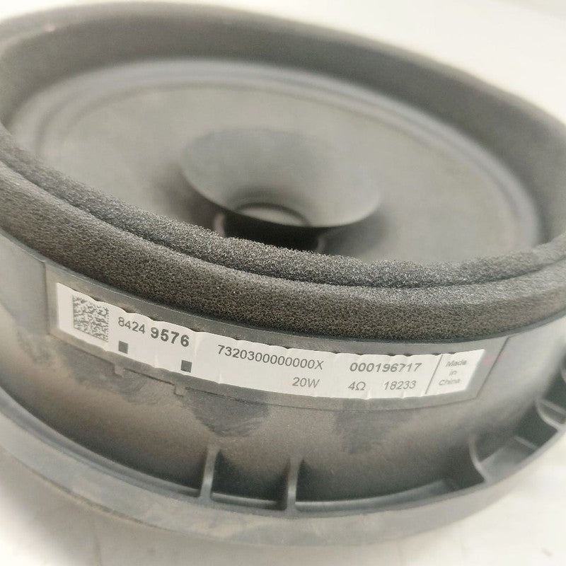 Chevy Volt Speaker Right Passenger Rear  2019 2018 2017 2016 OEM