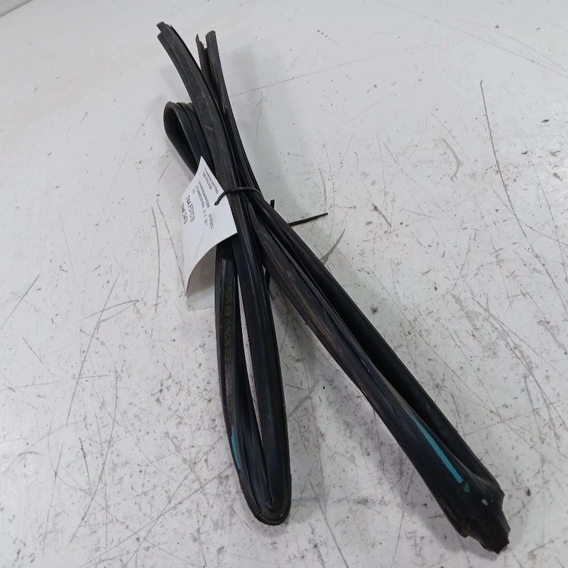 Ford Fiesta Door Glass Window Seal Rubber Left Driver Front  2014 2015