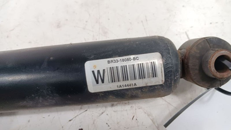 Ford Mustang Shock Absorber 2014 2013 2012 OEM