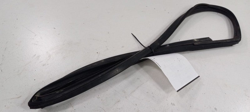 Hyundai Accent Door Glass Window Seal Rubber Right Passenger Front 200