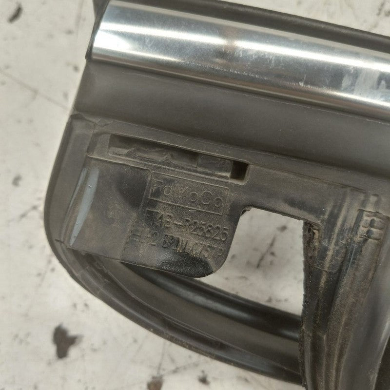 Ford Edge Door Glass Window Seal Rubber Left Driver Rear Back  2018 20