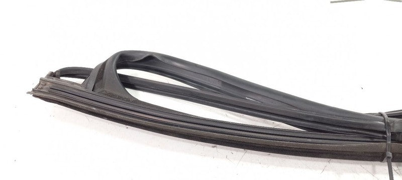 Kia Sorento Door Glass Window Seal Rubber Right Passenger Rear Back 2016 2017 18
