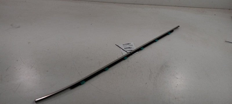 Hyundai Elantra Door Glass Window Weather Strip Trim Front Left Driver