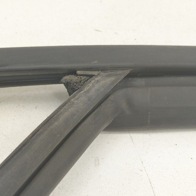 2018 Fiat 500 X Model Door Glass Window Seal Rubber Left Driver Front
