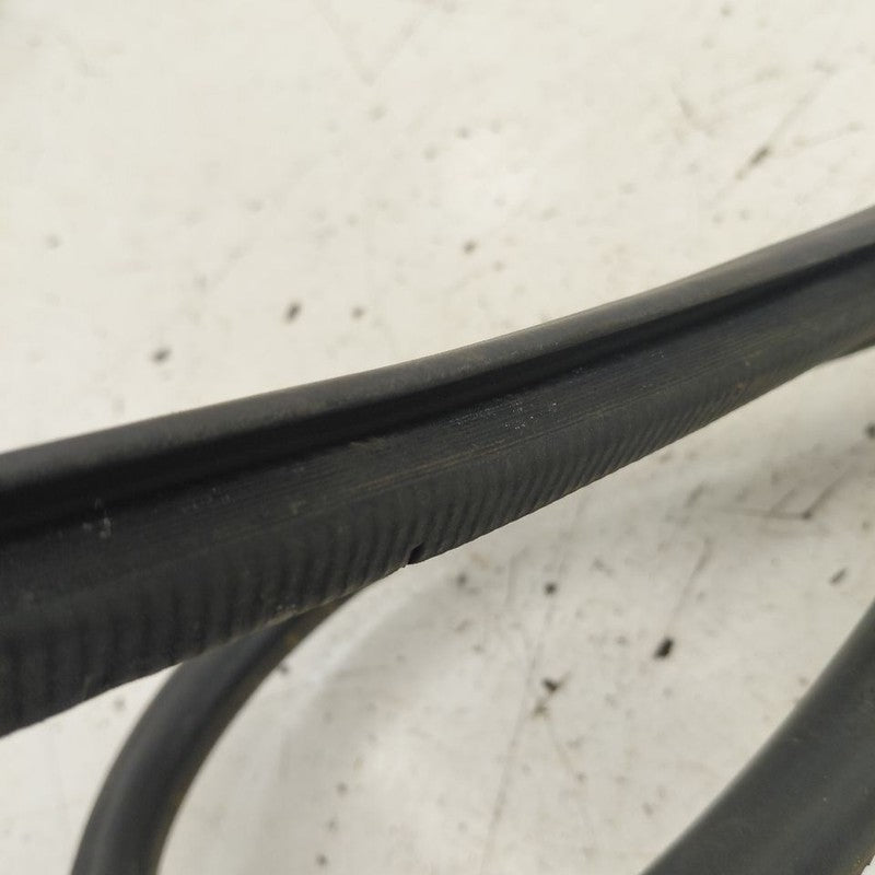 Lexus IS350 On Body Door Jamb Seal Rear Left Driver Back  2020 2019 20