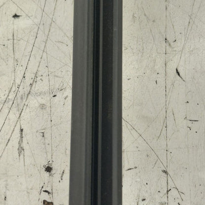 Volkswagen Golf Door Glass Window Weather Strip Trim Rear Right Passen