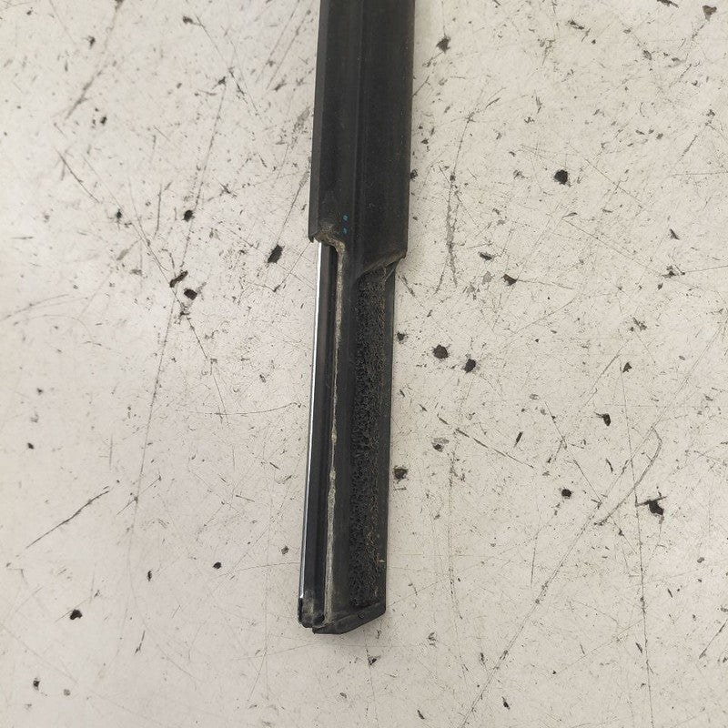 Cadillac CT6 Door Glass Window Weather Strip Trim Rear Left Driver Bac