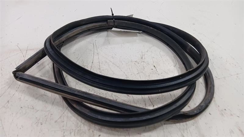 Toyota Scion IQ On Body Door Jamb Seal Gasket Front Left Driver  2011 