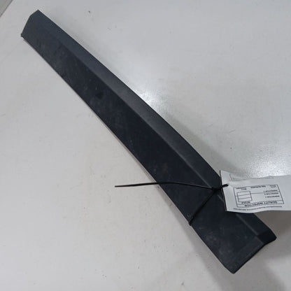 Jeep Compass Door Molding Trim Strip Right Passenger Side Front  2018 