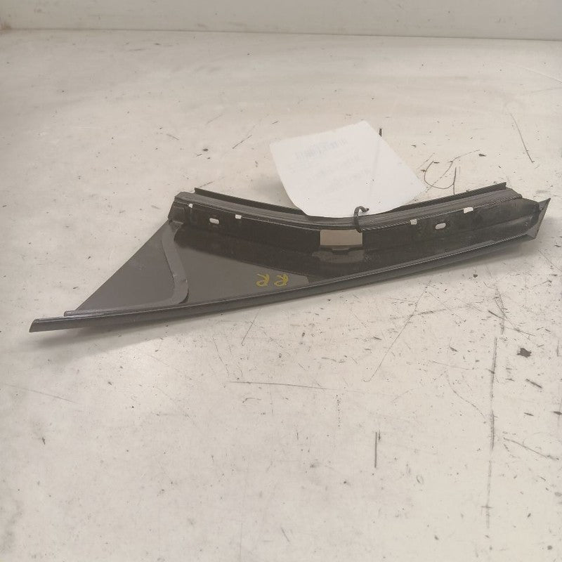 Cadillac XTS Passenger Right Rear Door Applique      2016 2017 2018