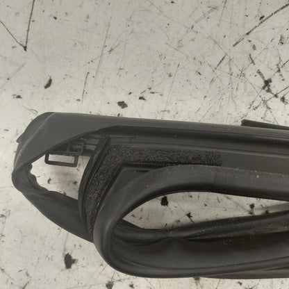 Hyundai Santa Fe Door Glass Window Seal Rubber Left Driver Rear Back  