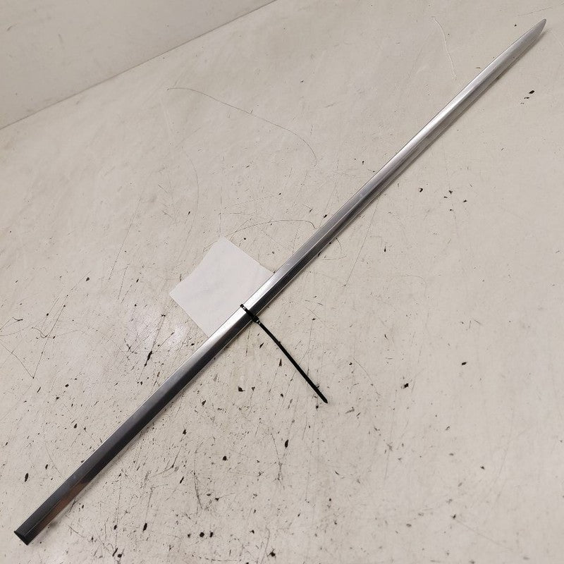 Cadillac CT6 Door Molding Trim Strip Left Driver Side Rear Back  2018 