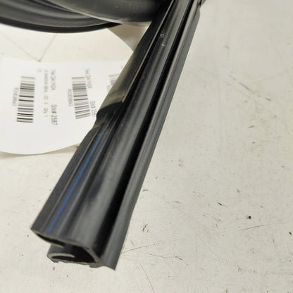 Nissan Versa Door Glass Window Seal Rubber Left Driver Front 2024 2023