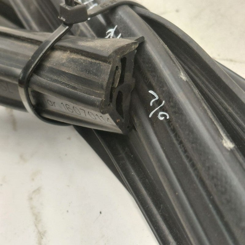 Cadillac CT6 Door Glass Window Seal Rubber Right Passenger Front  2018