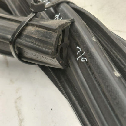 Cadillac CT6 Door Glass Window Seal Rubber Right Passenger Front  2018