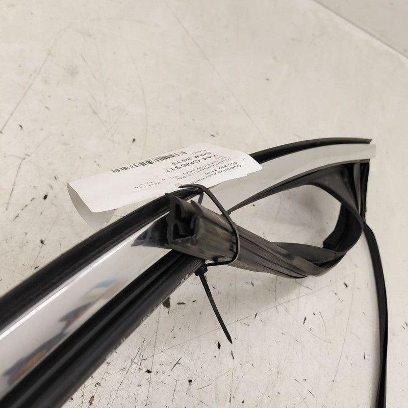 Cadillac CT6 Door Glass Window Seal Rubber Left Driver Front  2018 201