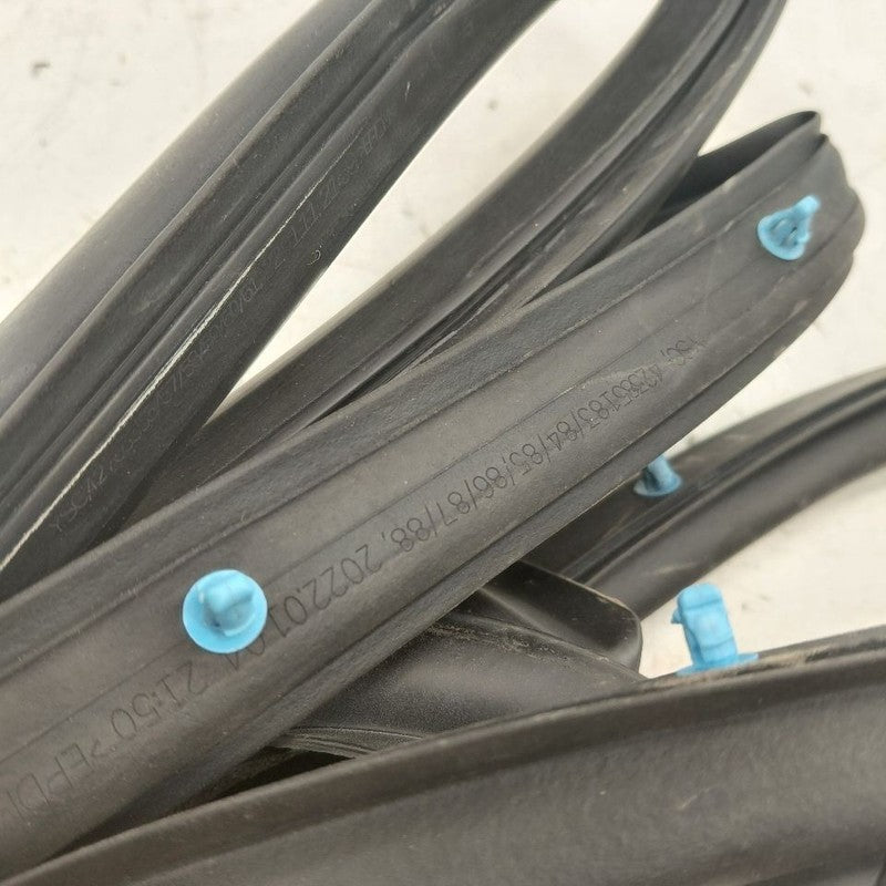 Chevy Trax On Door Seal Rubber Right Passenger Front  2022 2021