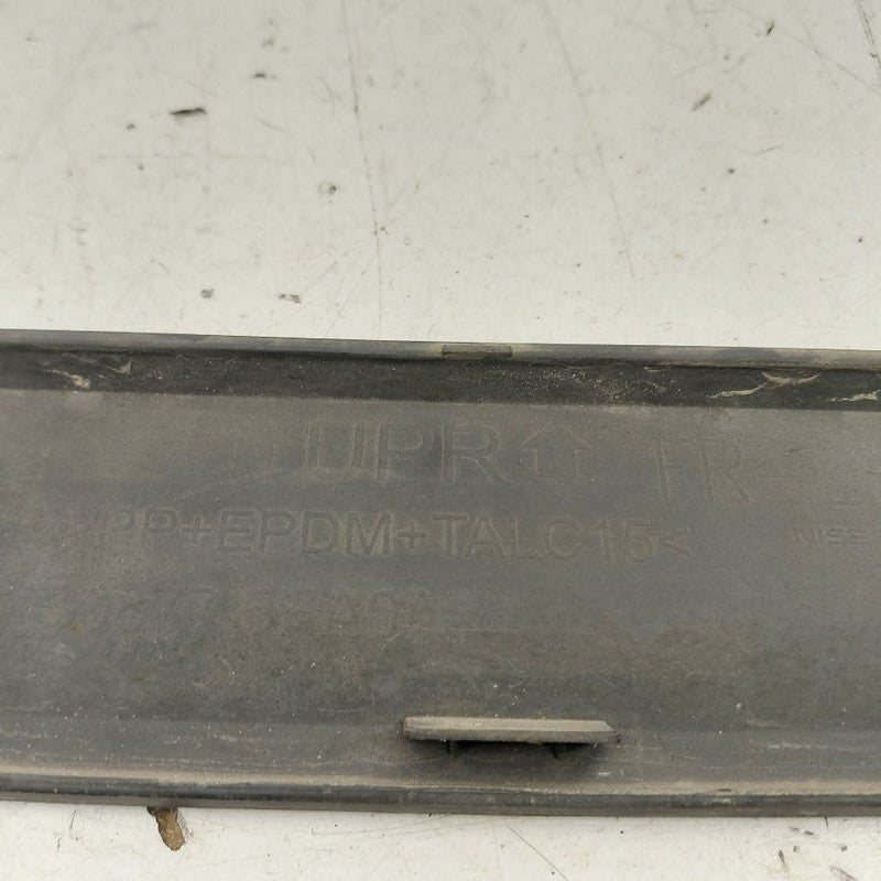 Nissan Rogue Door Molding Trim Strip Left Driver Front  2017 2018 2019