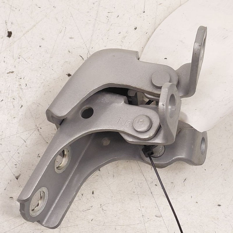 Honda Clarity Door Hinge Set Right Front Passenger  2018 2019 2020