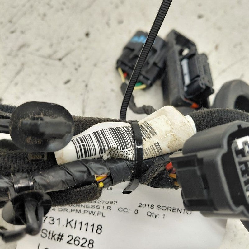 Kia Sorento Door Harness Wire Wiring Left Driver Rear  2018 2017 2016