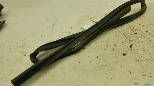 Dodge Journey Door Glass Window Seal Rubber Gasket Right Passenger Rear 2009
