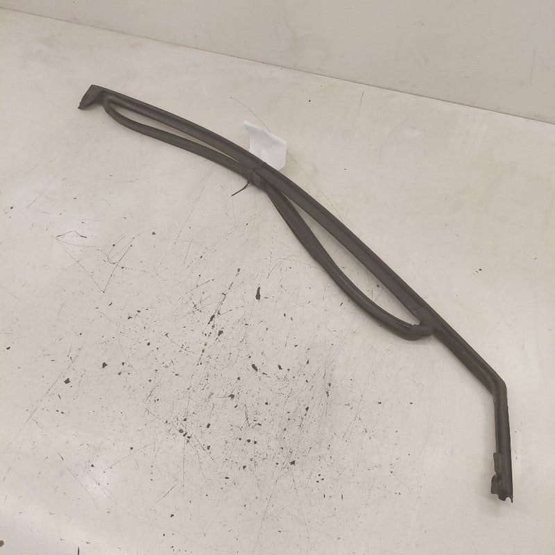 Ford Edge Door Glass Window Seal Rubber Left Driver Front  2018 2017 2