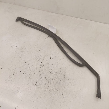 Ford Edge Door Glass Window Seal Rubber Left Driver Front  2018 2017 2