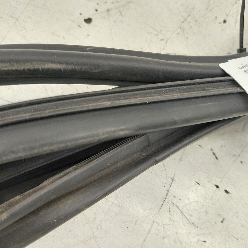 Hyundai Veloster On Door Seal Rubber Right Passenger Front  2017 2016 