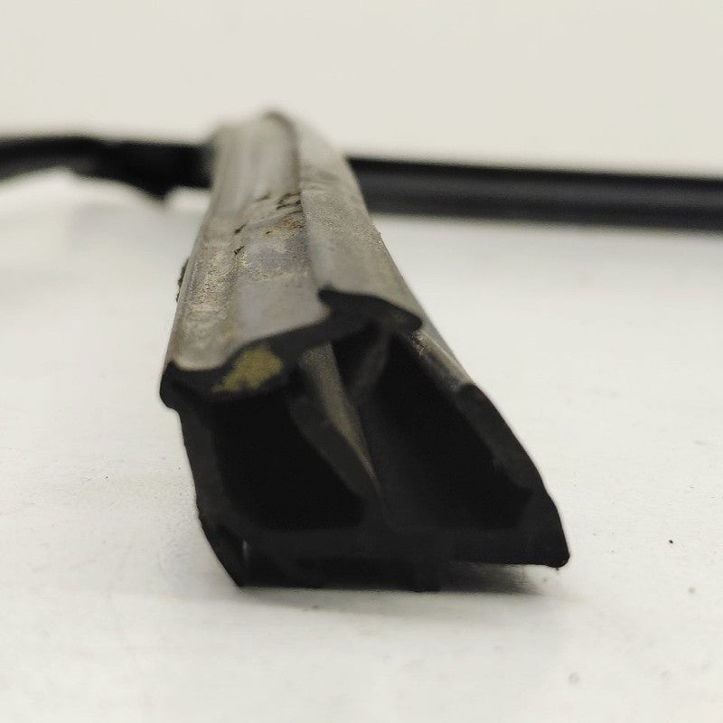 Ford Escape Door Glass Window Seal Rubber Right Passenger Front  2022 