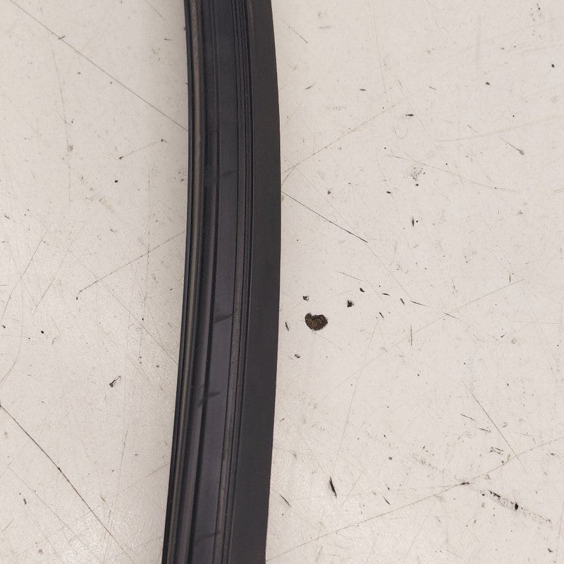Volvo S60 Door Glass Window Seal Rubber Right Passenger Front  2018 20
