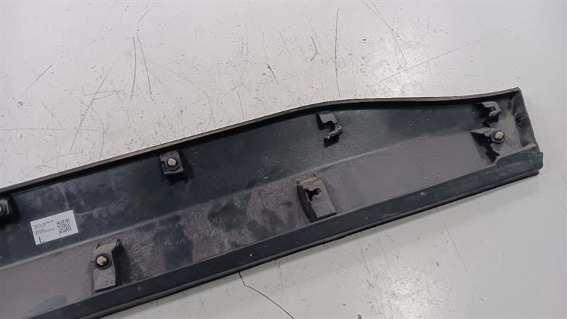 Toyota Rav 4 Door Molding Trim Strip Left Driver Front  2019 2020 2021 2022 2023